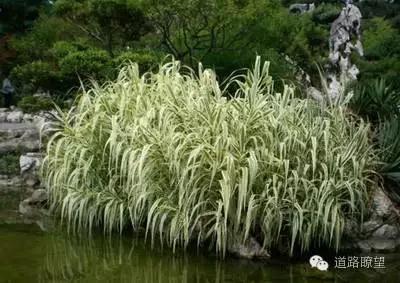 耀彩网(中国区)官方网站