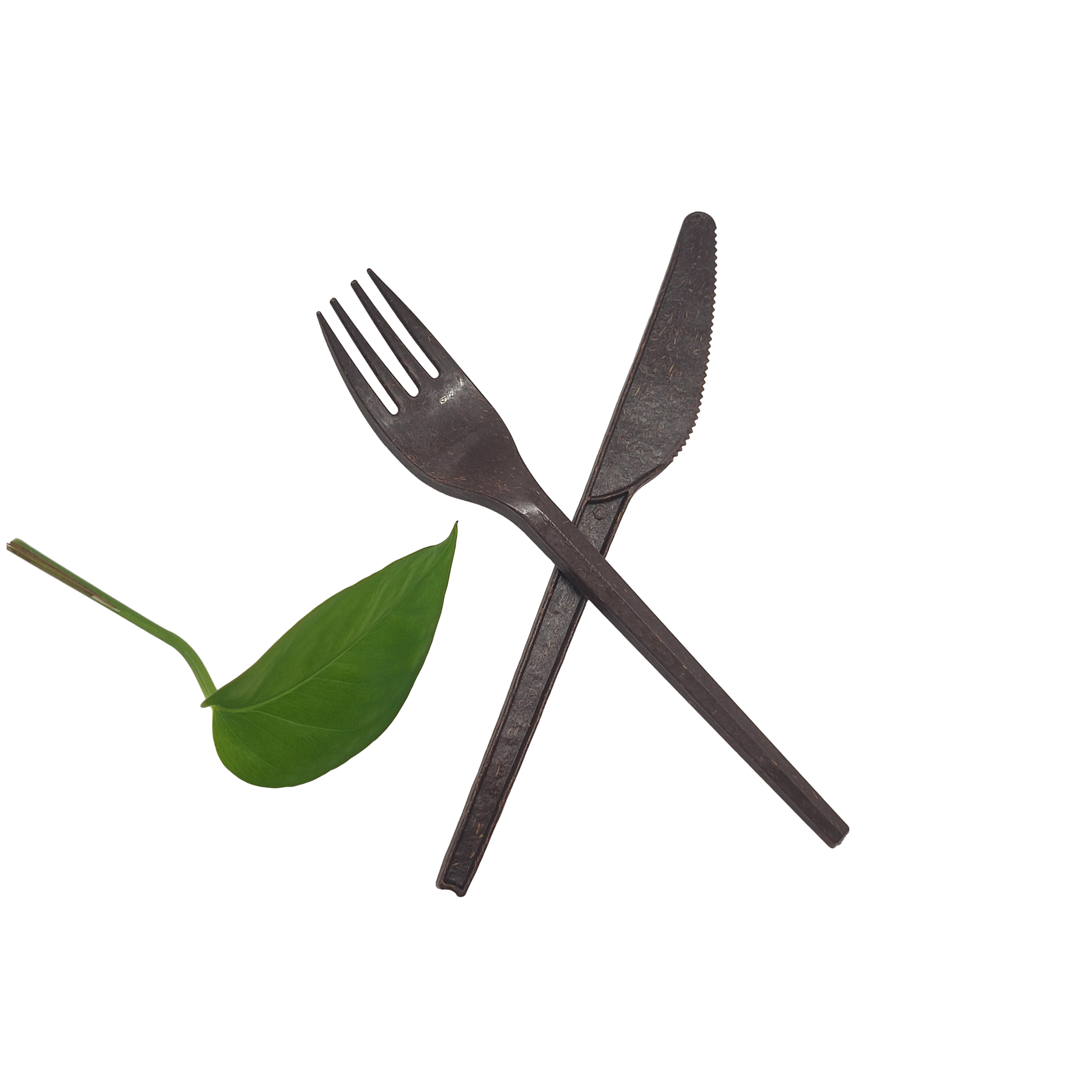 0db9e96e1e9be2f16899708ac44024ed